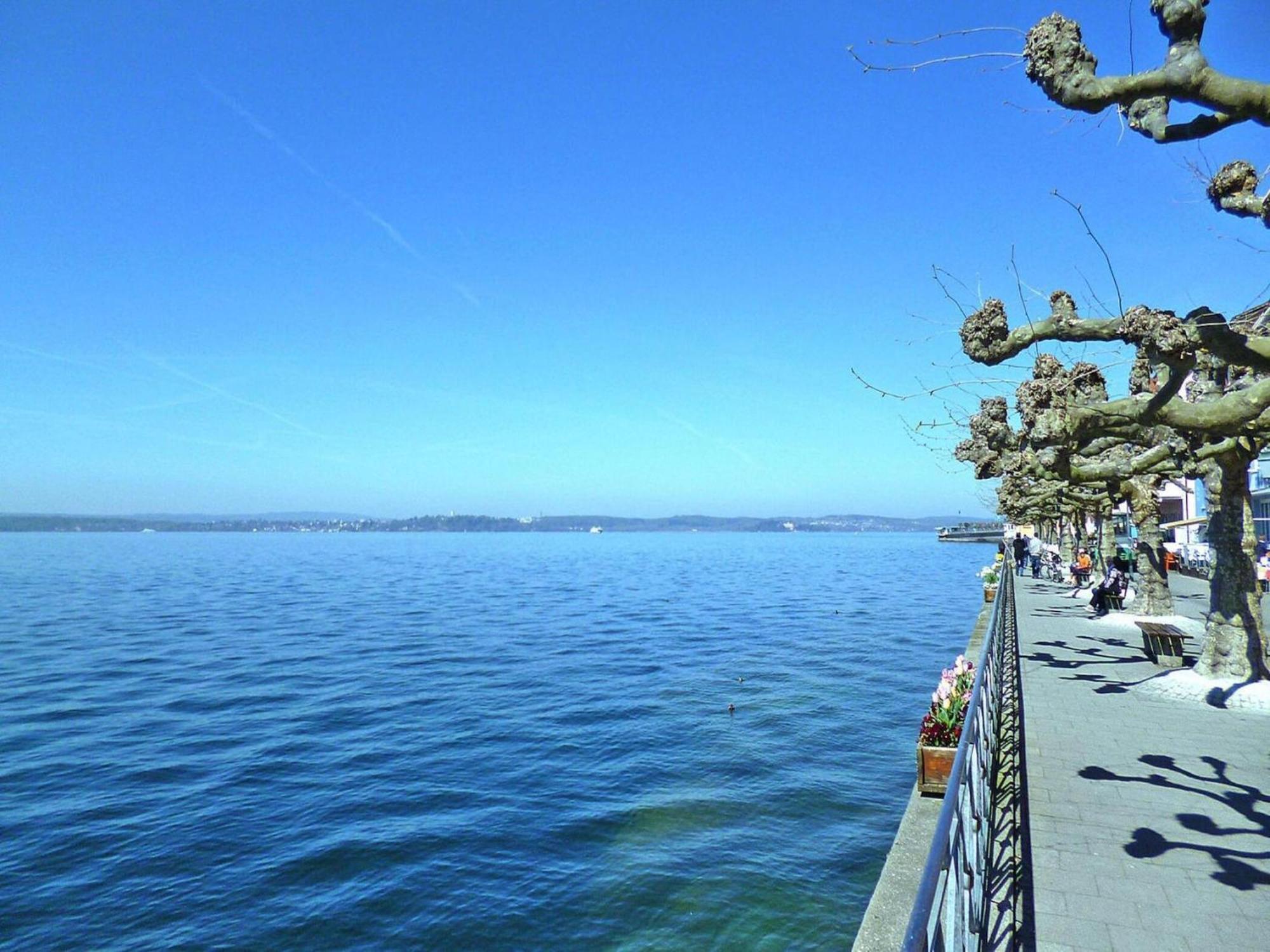 Apartment Bears, Meersburg Eksteriør bilde